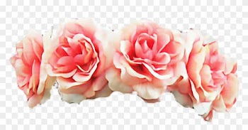 Reportar Abuso - Transparent Flower Crown Rose