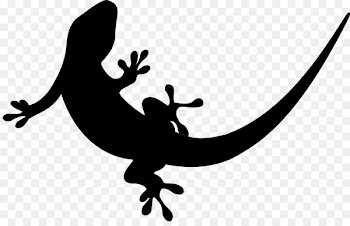 Reptile Clip art Amphibians Line Silhouette -  