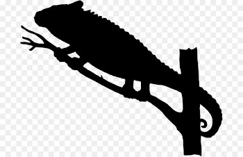 Reptile Clip art Beak Line Silhouette -  