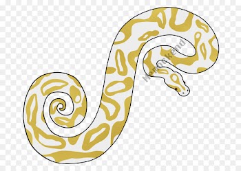 Reptile Clip art Line Body Jewellery - albino pattern 