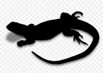 Reptile Clip art Silhouette -  