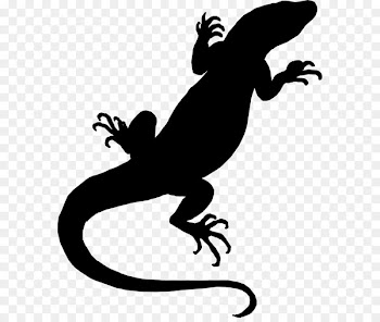 Reptile Clip art Silhouette Line -  
