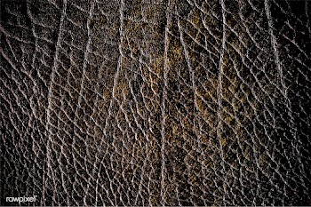 Reptile leather textile backdrop | Free stock vector - 597216