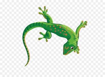 Reptile Lizard Chameleons Euclidean vector Illustration - Vector Green gecko 