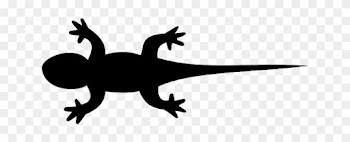 Reptile Lizard, Iguana, Gecko, Animal, Nature, Reptile - Lizard Clipart Black