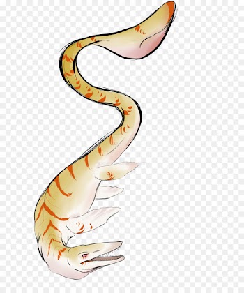 Reptile Mosasaurus Snakes Mosasaurs Dinosaur - dinosaur 