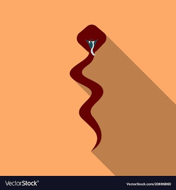Reptile snake or serpent flat icon for animal vector image