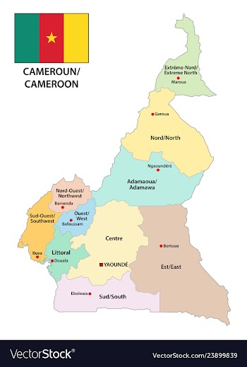  					Republic of cameroon administrative and political vector image														