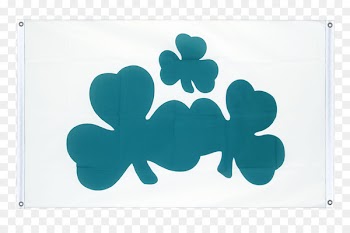 Republic of Ireland Flag of Ireland Shamrock Vehicle Display Flags - flag 