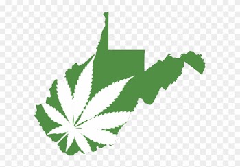 Republican Lawmaker In Wv Delivers An Emotional Defense - Opioid Crisis West Virginia