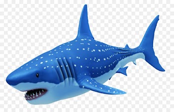 Requiem shark Great white shark - big shark 