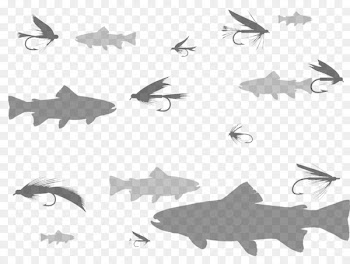 Requiem sharks Clip art Fish Product - fly tying logos 