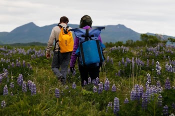 Research team at Katmai National | Free Photo - rawpixel