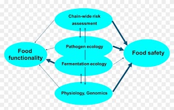 Researchfhm1 - Food Microbioogy