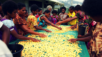Resource industry supports food security in PNG: Chamber | Loop PNG