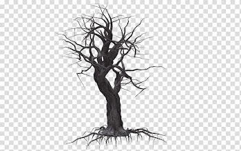 Resources  Overexposed, black bare tree illustration transparent background PNG clipart
