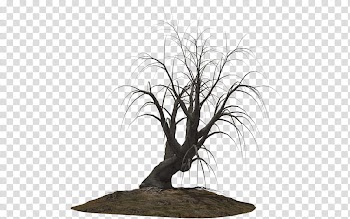 Resources  Overexposed, black bare tree illustration transparent background PNG clipart