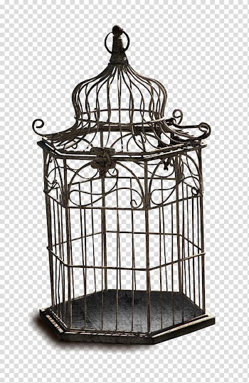Resources  Overexposed, black birdcage transparent background PNG clipart