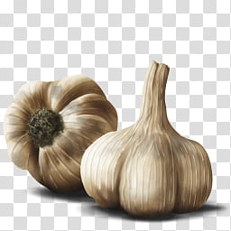 Resources  Overexposed, two garlics transparent background PNG clipart