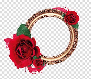 RESOURCES, round gold-colored frame transparent background PNG clipart