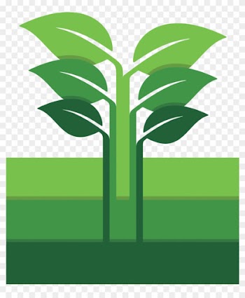 Respect Food &amp; Reduce Food Waste - Food