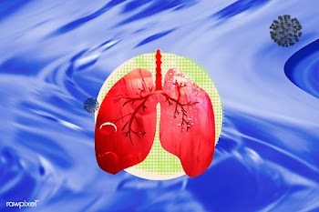 Respiratory tract infection due to the coronavirus  | Free  illustration - 2318995