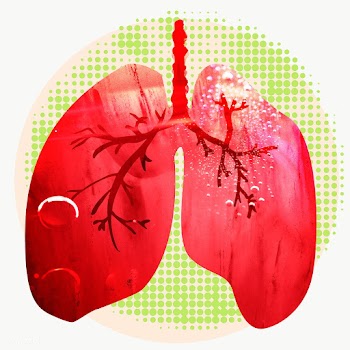 Respiratory tract infection due to the coronavirus  | Free  transparent png - 2318987