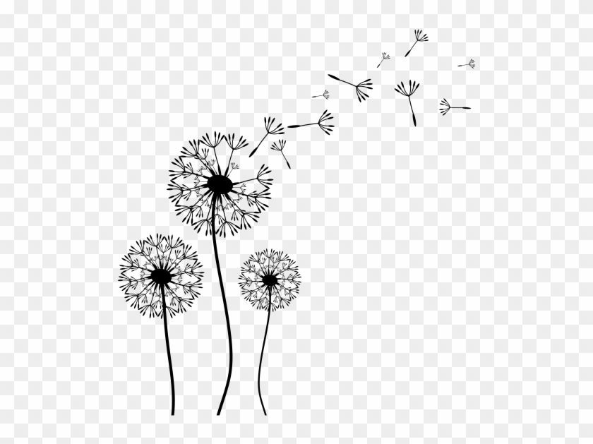 Resultado De Imagem Para Flor Dente De Leao - Dandelion Clipart Black And White