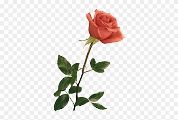 Resultado De Imagen Para Flores Gif - Wedding Backgrounds For Photoshop