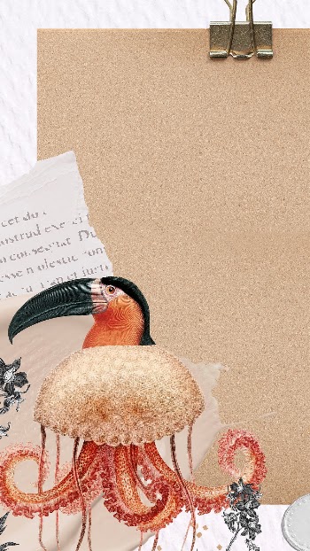 Retro collage instagram story with note, | Free Photo - rawpixel