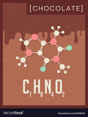  					Retro poster of chocolate cacao molecule vector image														