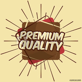retro vintage badge premium quality decoration sunburst design vector illustration