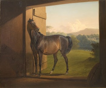 Reveller Mare | Free Photo - rawpixel