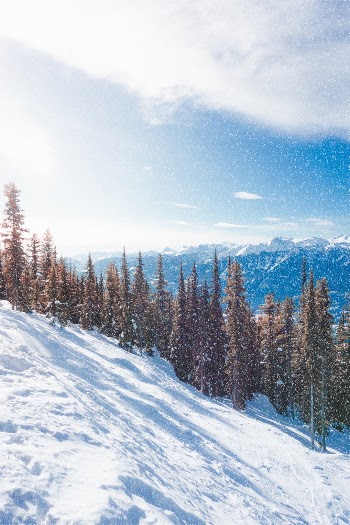 Revelstoke mountain in the winter. The weather was beautiful, blue skies all day. This trip was a dream.