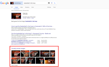 Reverse Image Search