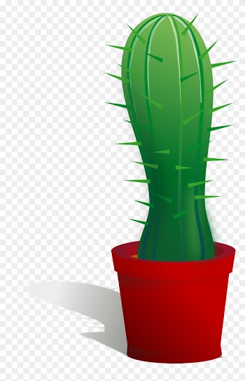 Rg 1 24 Cactus Art 999px 314 - Cactus In Pot Clipart