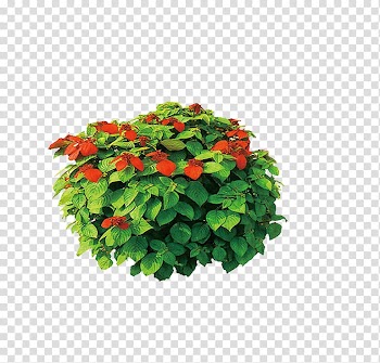 RGB color model, Green simple grass flowers decorative pattern transparent background PNG clipart