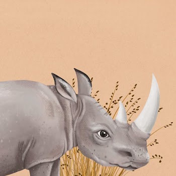 Rhino wildlife background, brown design | Free Photo Illustration - rawpixel