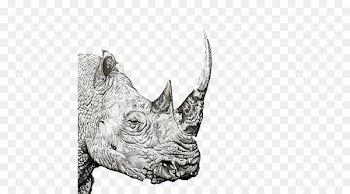 Rhinoceros Reading Baidu Wangpan Pen Computer file - Rhino pen drawing material picture 