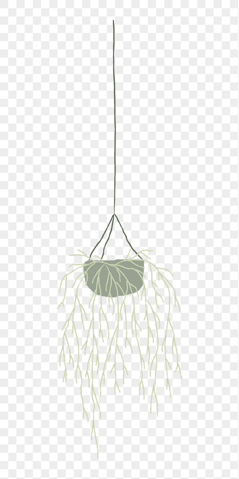 Rhipsalis png doodle houseplant sticker, | Free PNG - rawpixel