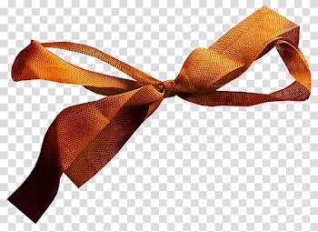 Ribbon, autumn elements transparent background PNG clipart