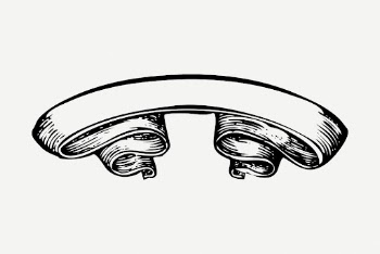 Ribbon banner drawing, vintage illustration | Free PSD - rawpixel