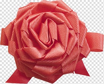 Ribbon Garden roses Red Gift, bow girl transparent background PNG clipart