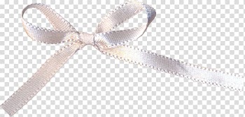 Ribbon Gift Shoelace knot, Small fresh bow transparent background PNG clipart