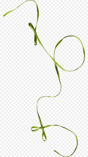 Ribbon Green Shoelace knot Portable Network Graphics Image - empty 