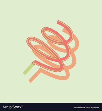 Ribbon gymnastic gymnastics ribbon rhythmic vector image