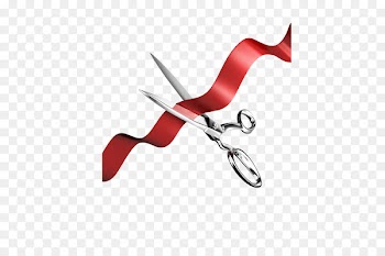 Ribbon Information Service Software development - Red ribbon 