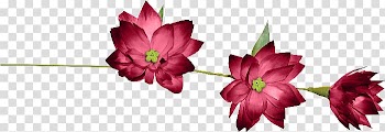 Ribbon Lazo Flower, ribbon transparent background PNG clipart