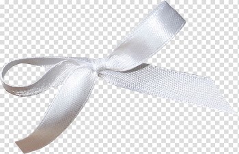 Ribbon Material Shoelace knot, Pretty bow transparent background PNG clipart