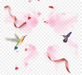 Ribbon, Pink, Desktop Wallpaper, Hummingbird PNG